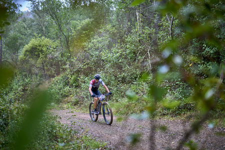 La Tramun Sea Otter Europe La Tramun Sea Otter Europe